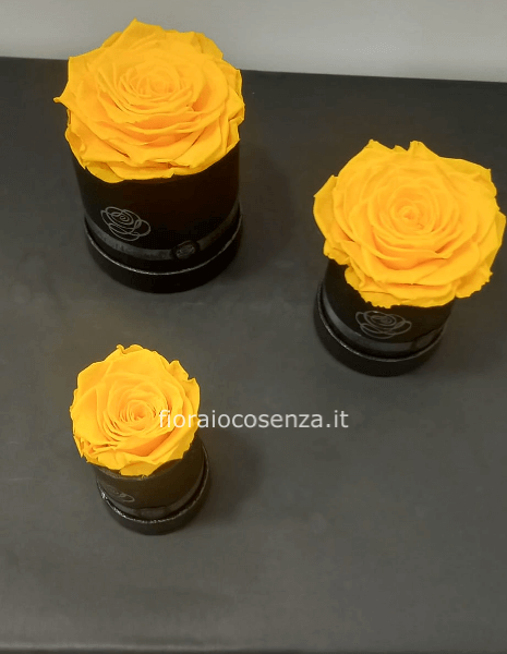 Rosa gialla stabilizzata